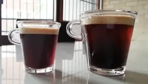 1675593568 192 Nespresso Inissia vs Citiz Ein vollstandiger Vergleich